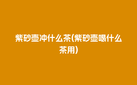紫砂壶冲什么茶(紫砂壶喝什么茶用)