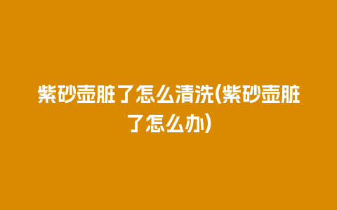 紫砂壶脏了怎么清洗(紫砂壶脏了怎么办)