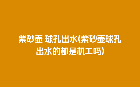紫砂壶 球孔出水(紫砂壶球孔出水的都是机工吗)