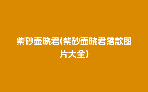 紫砂壶晓君(紫砂壶晓君落款图片大全)