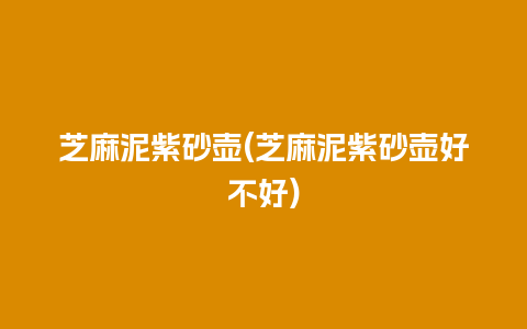 芝麻泥紫砂壶(芝麻泥紫砂壶好不好)