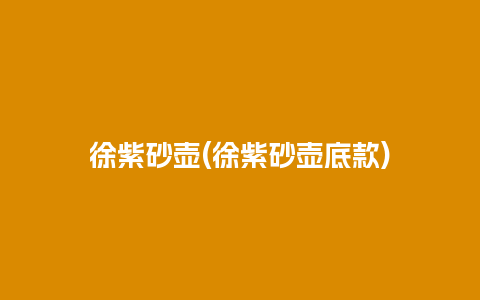 徐紫砂壶(徐紫砂壶底款)