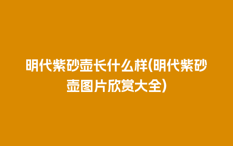 明代紫砂壶长什么样(明代紫砂壶图片欣赏大全)