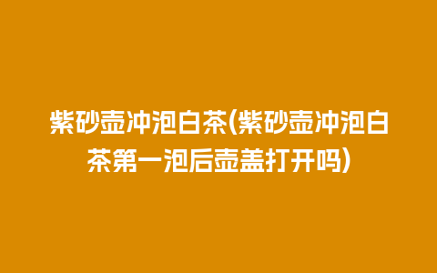 紫砂壶冲泡白茶(紫砂壶冲泡白茶第一泡后壶盖打开吗)