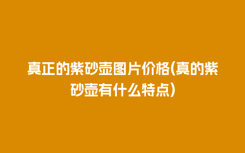 真正的紫砂壶图片价格(真的紫砂壶有什么特点)