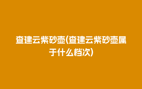 查建云紫砂壶(查建云紫砂壶属于什么档次)
