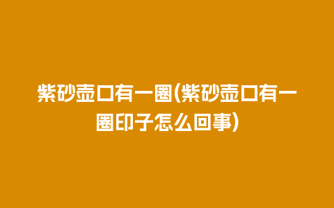紫砂壶口有一圈(紫砂壶口有一圈印子怎么回事)