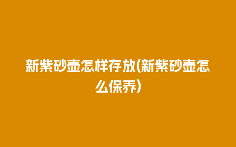 新紫砂壶怎样存放(新紫砂壶怎么保养)