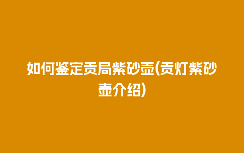 如何鉴定贡局紫砂壶(贡灯紫砂壶介绍)
