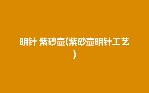 明针 紫砂壶(紫砂壶明针工艺)