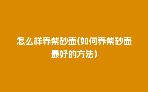 怎么样养紫砂壶(如何养紫砂壶最好的方法)