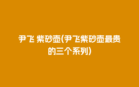 尹飞 紫砂壶(尹飞紫砂壶最贵的三个系列)